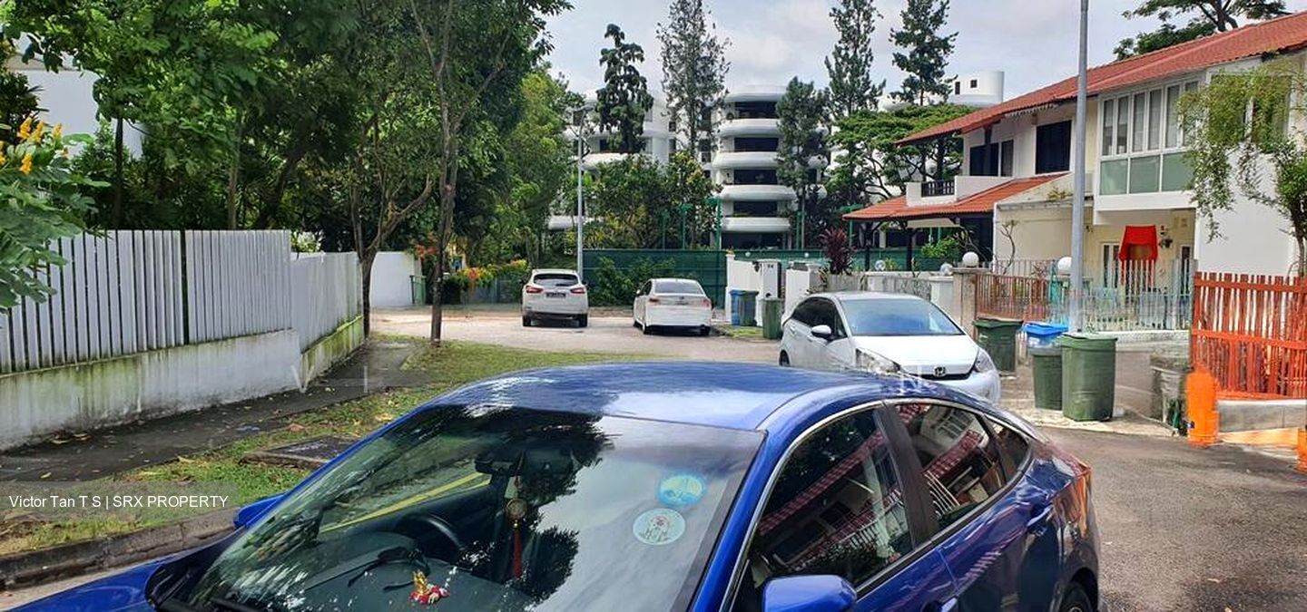 Jalan Mutiara (D10), Terrace #501974641